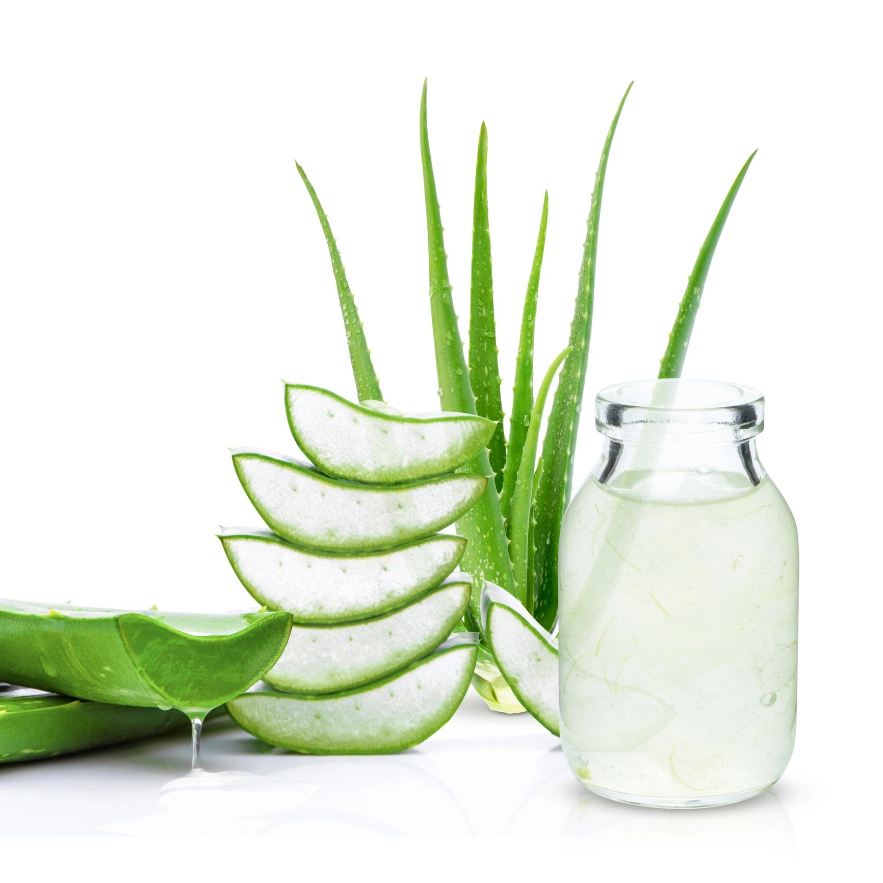 Aloe vera gel product with aloe plant on white background