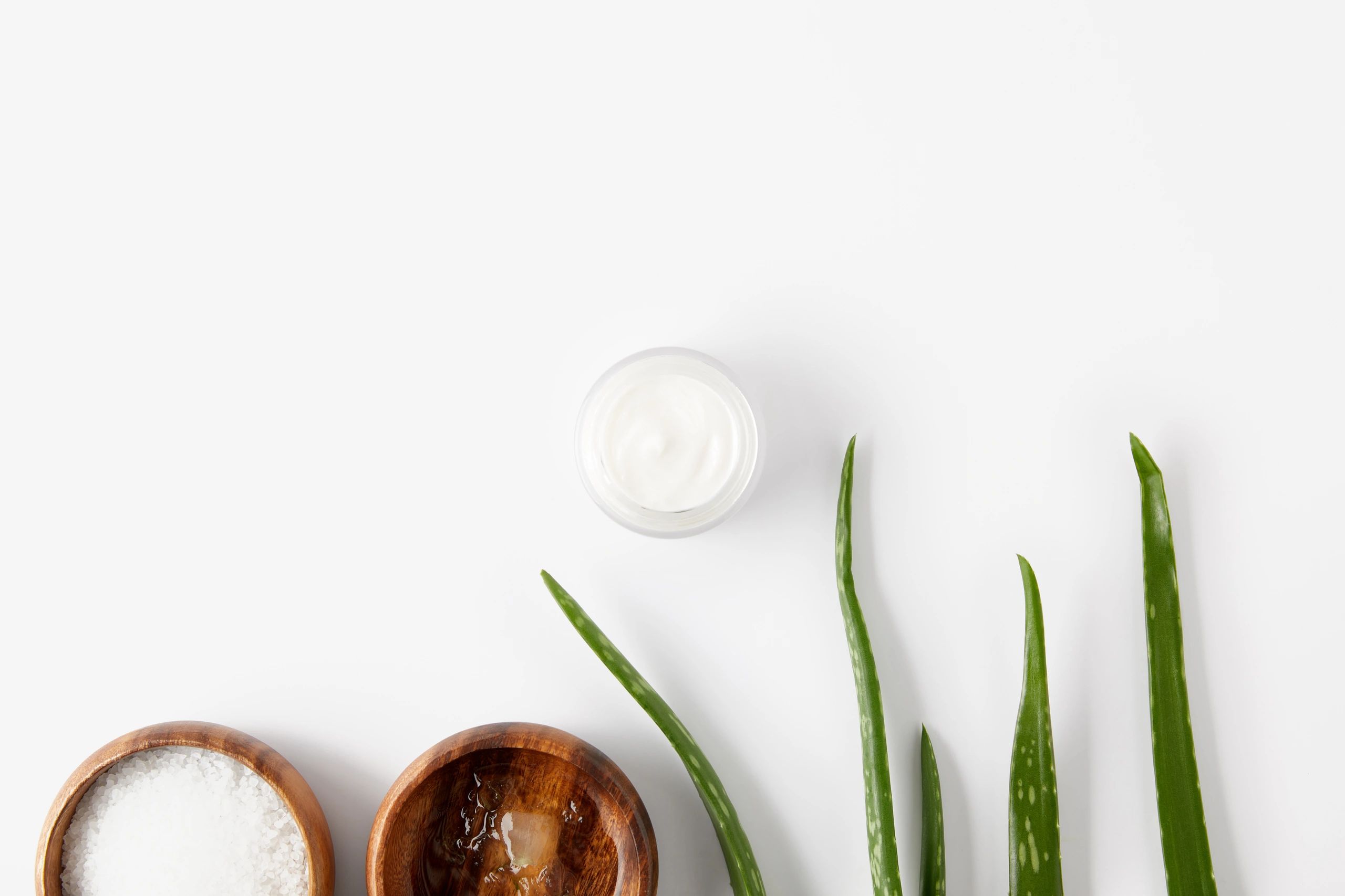 Natural skincare flat lay with aloe leaves and cream